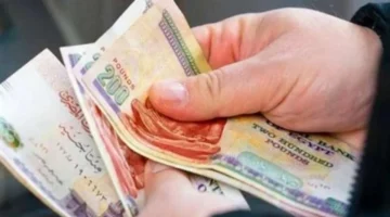 5 أيام.. الوزارة تكشف خطة مالية جديدة لصرف مرتبات نوفمبر 2025 بسرعة فائقة